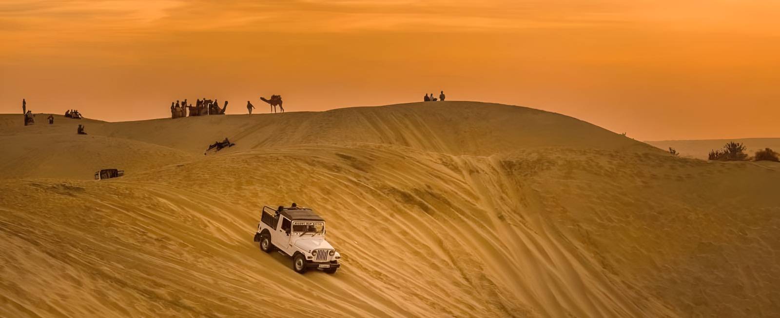 Jeep Safari